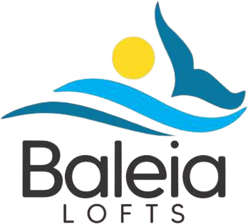 Baleia Lofts